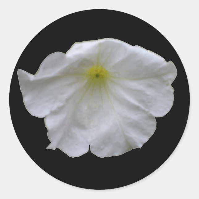 Rond Beau Sticker Petunia Blanc (Devant)