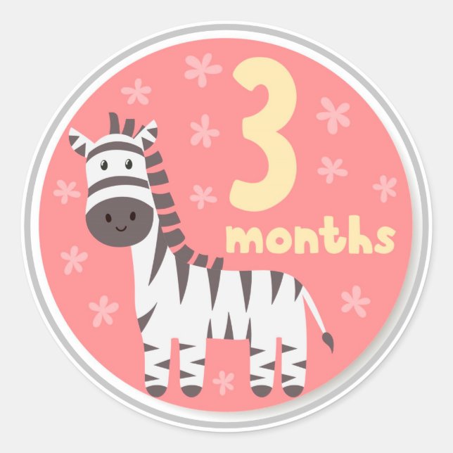 Rond Bébé 3 mois Milestone Classic Round Sticker (Devant)