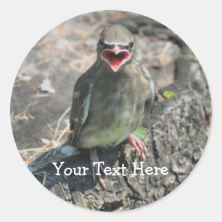 Rond Bébé Oiseau Nature Sticker