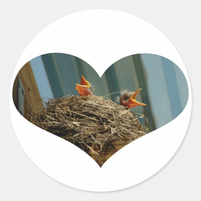 Rond Bébé Robins Coeur Sticker (Devant)