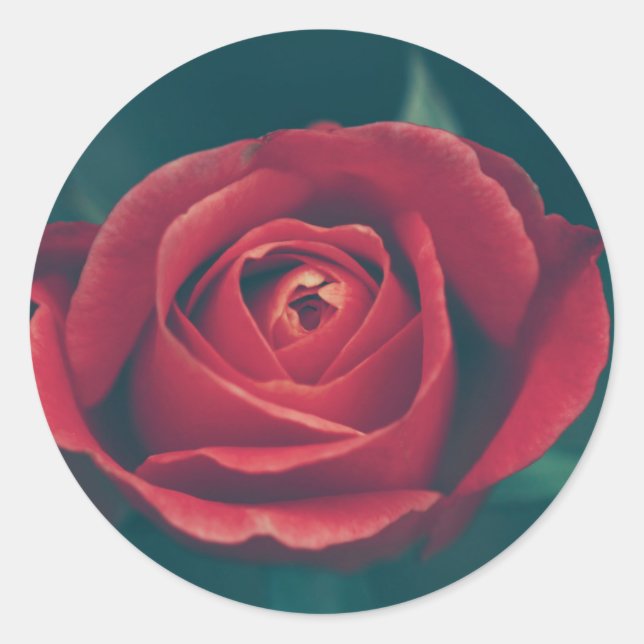Rond Belle Rose rouge Fleur mariage Favor Sticker (Devant)