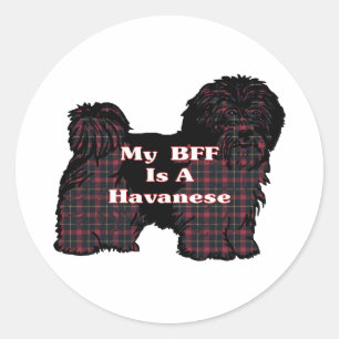 Rond BFF Sticker de Havanais