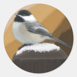 Rond Bickadee Sur Un Sticker Post