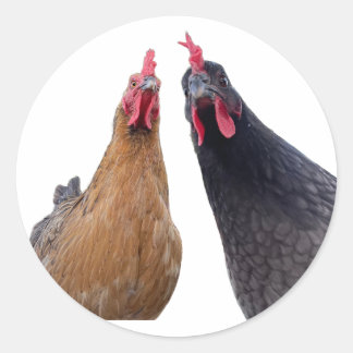 Rond Birds with Attitude Sticker