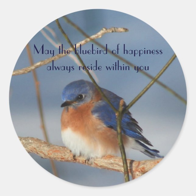 Rond Bluebird Of Happiness Sticker Inspirant (Devant)