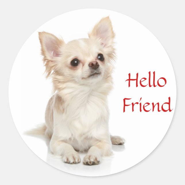 Rond Bonjour ami Long Haired Chihuahua Sticker (Devant)