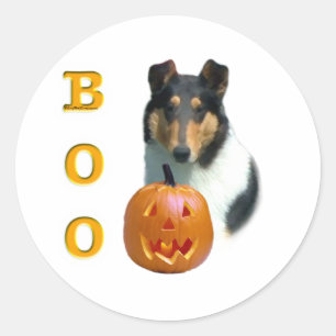 Rond Boo Collie lisse - Sticker