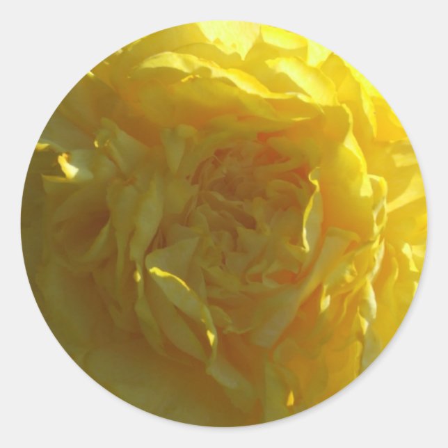 Rond Bright Yellow Peony Peonies Sticker Flower (Devant)