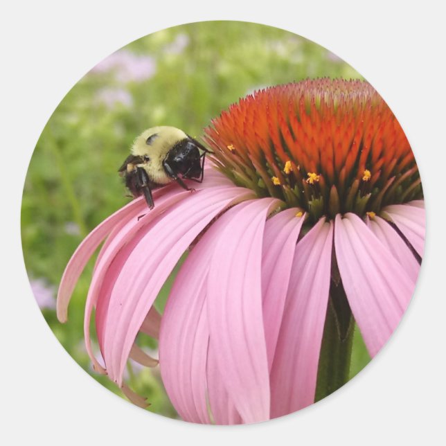 Rond Bumble Bee sur Sticker Flower (Devant)