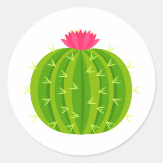 Rond Cactus avec Sticker à fleurs