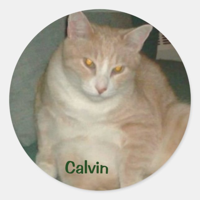 ROND CALVIN STICKER (Devant)