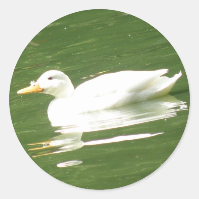 Rond Canard sur le Sticker à eau (Devant)