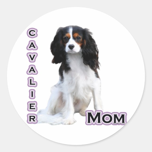 Rond Cavalier Mom 4 - Sticker (Devant)
