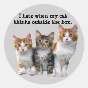 Rond Chat À L'Extérieur Du Sticker De Boîte