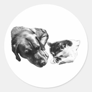 Rond Chat et chien se reposant ensemble Sticker monochr