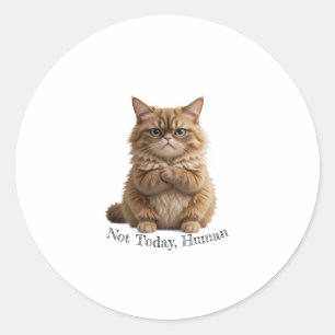 Rond Chat Grumpy "Pas aujourd'hui, humain" Sticker Funn