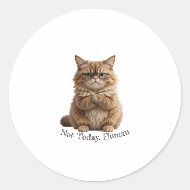 Rond Chat Grumpy "Pas aujourd'hui, humain" Sticker Funn (Devant)