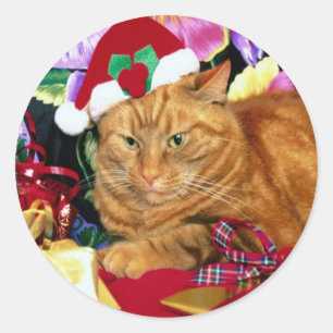 Rond Chat portant le Casquette du Père Noël - Sticker