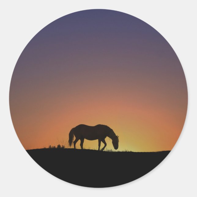 Rond Cheval en Sticker Sunrise Sud-Ouest (Devant)