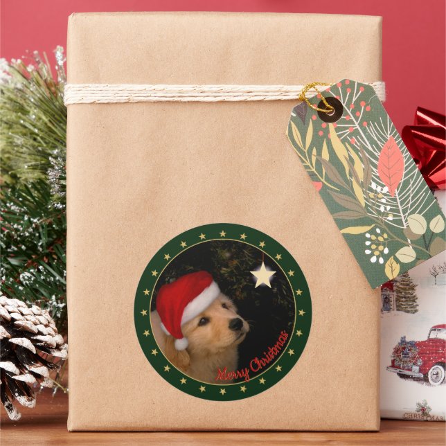 Rond Chiot d'or avec Sticker de Santa Hat (vacances)