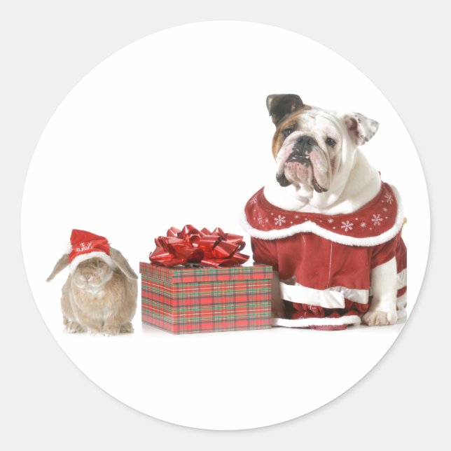 ROND CHRISTMAS ENVELOPPE STICKER BULLDOG ET BUNNY (Devant)