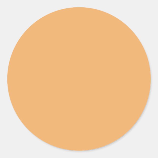 Rond Couleur de tendance - Sticker orange doux (Devant)