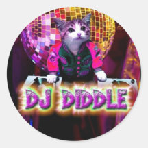 DJ DIDDLE STICKER