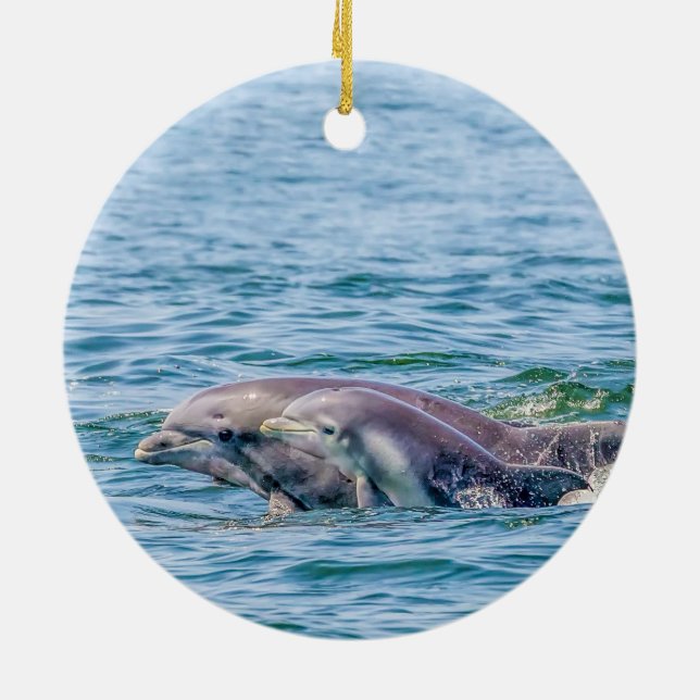 Rond En Céramique Dauphin de l'amour de mère et ornement de bébé (Dos)