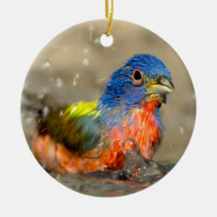 Rond En Céramique Étamine peinte - bel ornement d'oiseaux