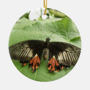 Rond En Céramique Joli ornement noir rouge et or papillon