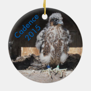 Rond En Céramique Ornement 2015 de cadence