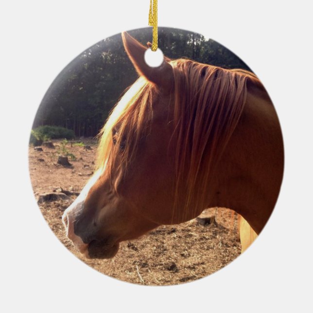 Rond En Céramique Ornement Arabe de cheval (Dos)