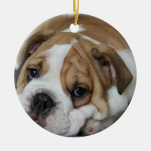 Rond En Céramique Ornement Bulldog Endormi