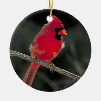 Rond En Céramique Ornement cardinal rouge de Noël