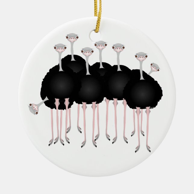 Rond En Céramique Ornement d'autruche (Devant)