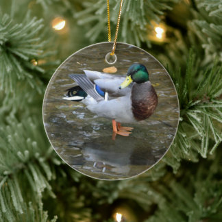 Rond En Céramique Ornement de canard à collier (ruisseau)