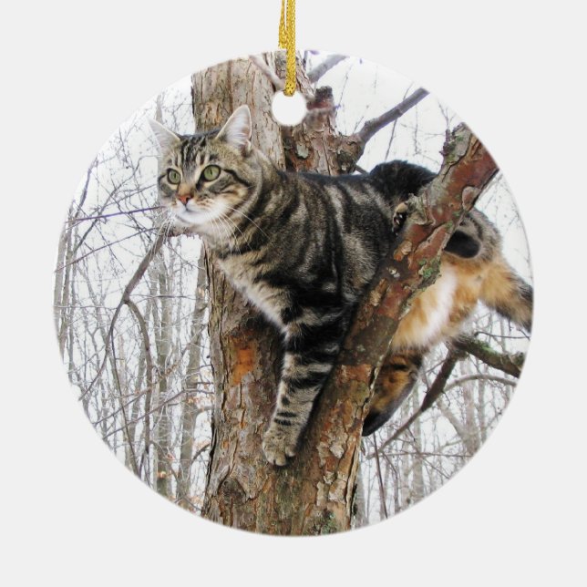 Rond En Céramique Ornement de chat Tabby (Dos)