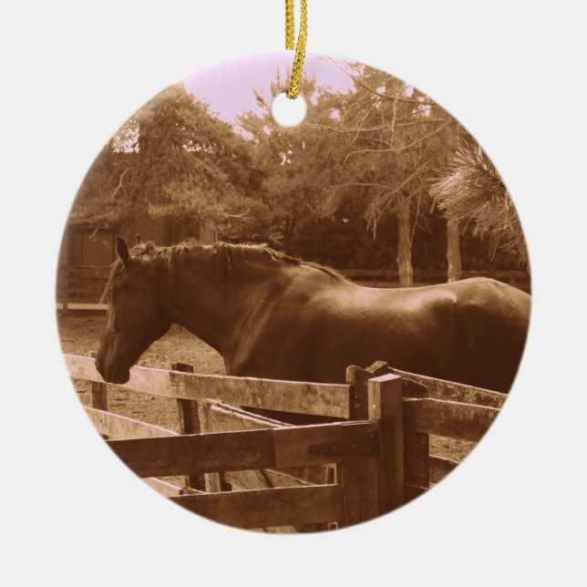 Rond En Céramique Ornement de cheval (Devant)