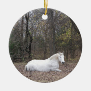 Rond En Céramique Ornement de cheval blanc