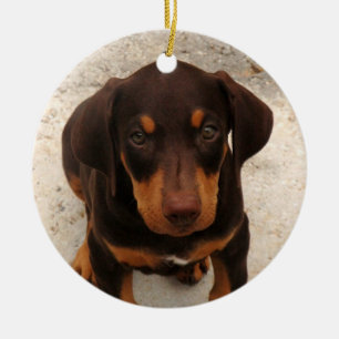 Rond En Céramique Ornement de chiot de dobermann