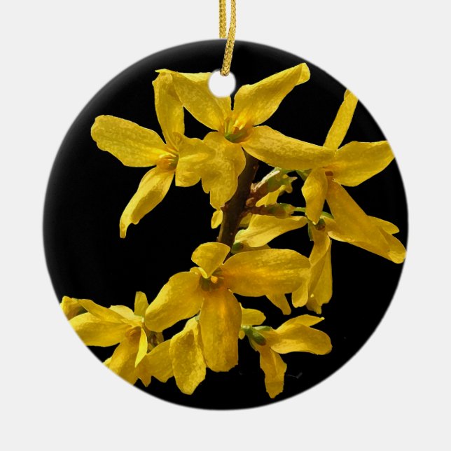Rond En Céramique Ornement de forsythia (Devant)