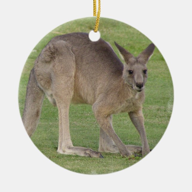 Rond En Céramique Ornement de Kanagaroo (Devant)