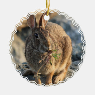 Rond En Céramique Ornement de lapin