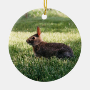 Rond En Céramique Ornement de lapin