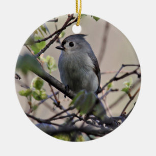 Rond En Céramique Ornement de mésange tuftée
