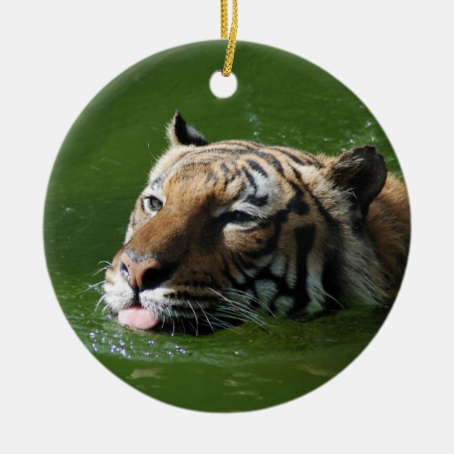 Rond En Céramique Ornement de tigre de natation (Devant)