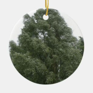 Rond En Céramique Ornement des arbres