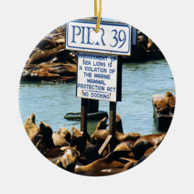 Rond En Céramique Ornement d'otaries de la jetée 39 (Devant)