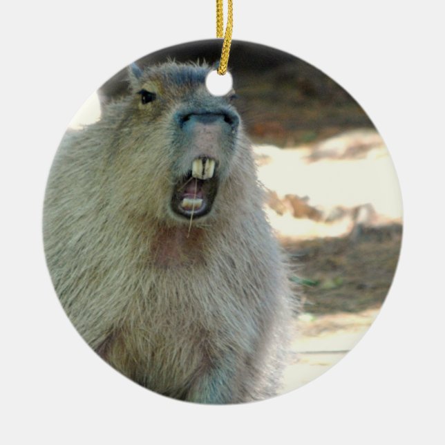Rond En Céramique Ornement drôle de Capybara (Devant)