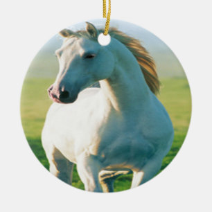Rond En Céramique Ornement du cheval blanc